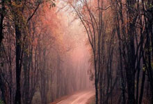 竞者 ｜ 他是中国田径领军人，亚洲纪录保持者，南京世锦赛与奖牌擦肩.