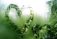 亚星官网:新浪体育_新浪网.