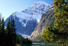 那是唯一属于内马尔的一届大赛，也是他桑巴生涯的唯一冠军.