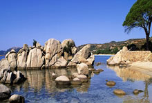 亚星官网：新浪体育_新浪网.